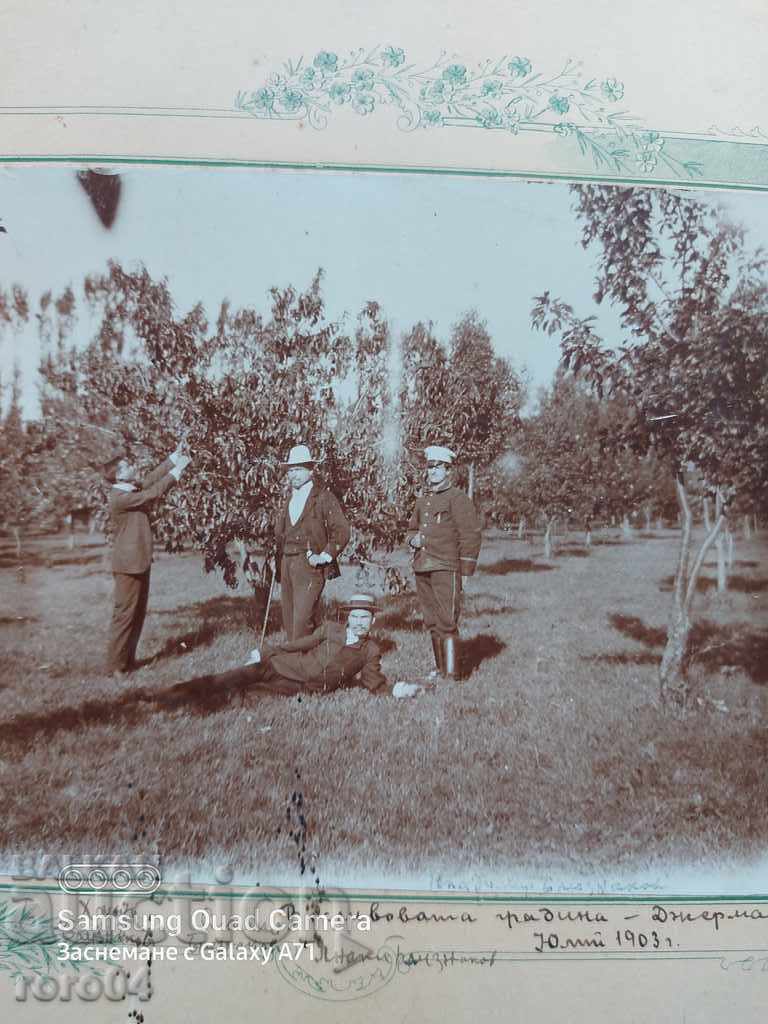 GERMANA - PLUM GARDEN - 1903