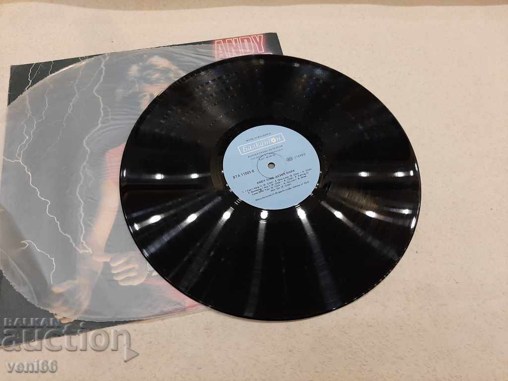 WTA 11005 - Andy Gibb with price 2.00 BGN | € 1.02