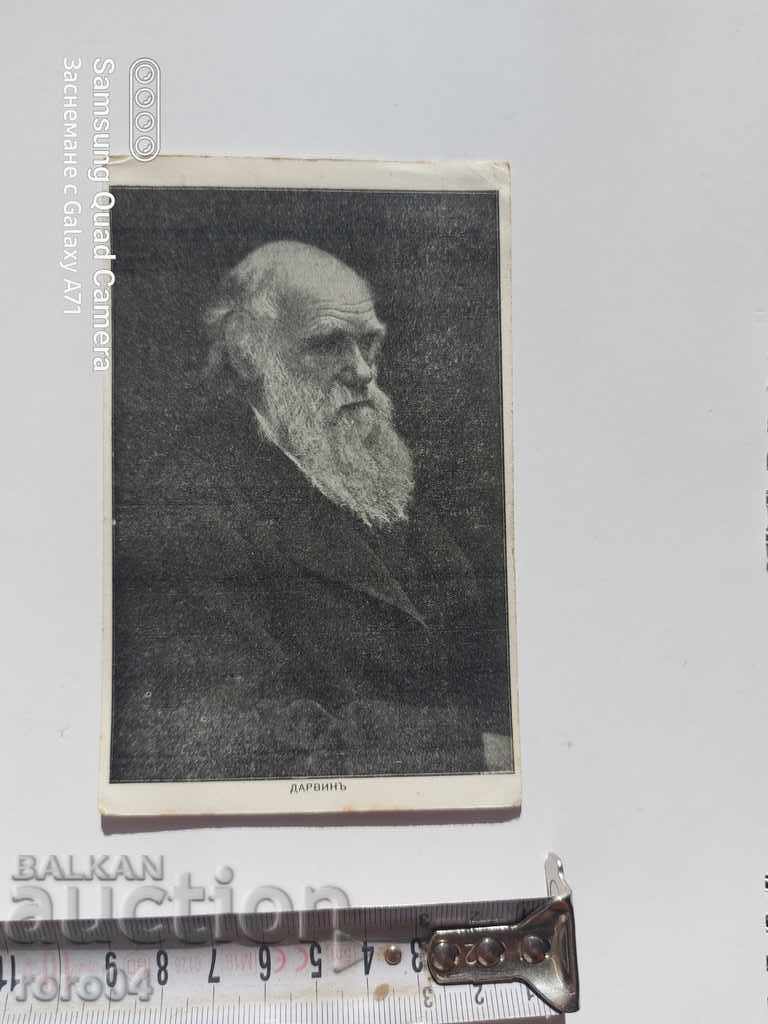 Δημοπρασία ΔΑΡΒΙΝΟΣ