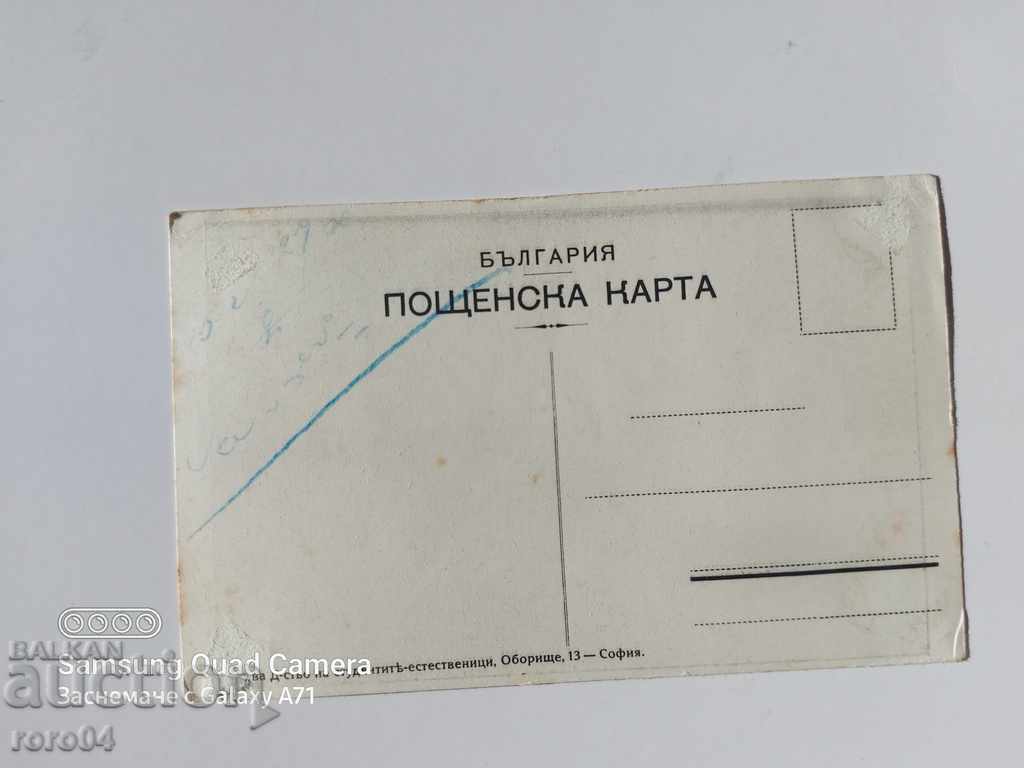 Παράδοση ΔΑΡΒΙΝΟΣ Παράδοση ΔΑΡΒΙΝΟΣ