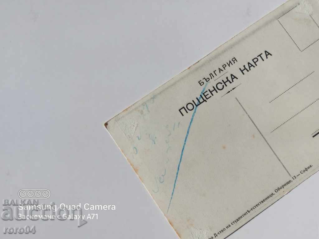 ΔΑΡΒΙΝΟΣ - 5 ΔΑΡΒΙΝΟΣ - 5