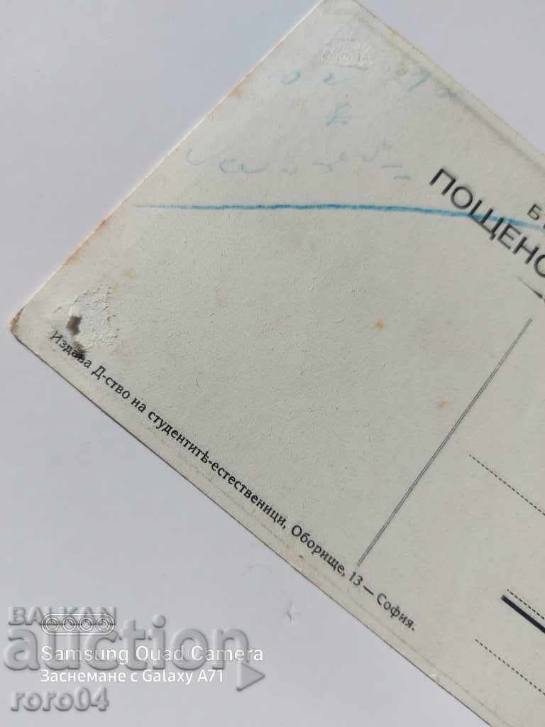 ΔΑΡΒΙΝΟΣ - 6 ΔΑΡΒΙΝΟΣ - 6