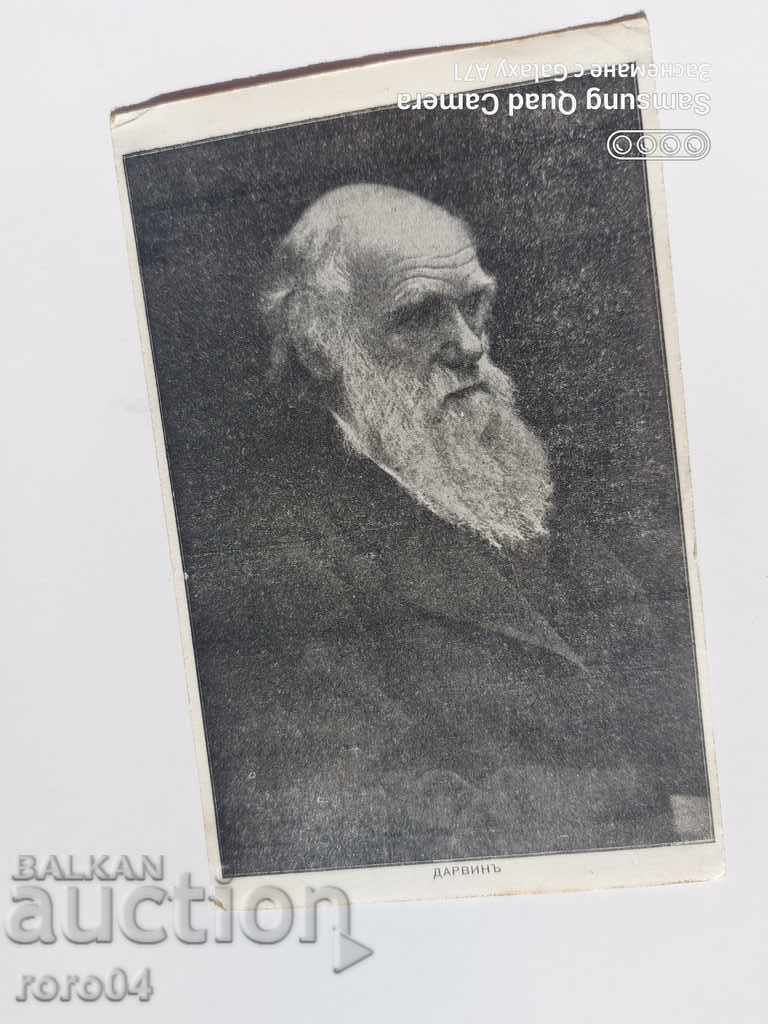 ΔΑΡΒΙΝΟΣ - 7 ΔΑΡΒΙΝΟΣ - 7