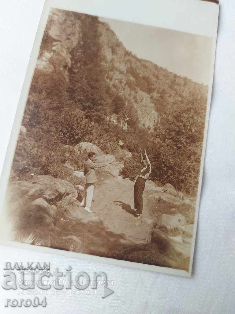 Auction HANDS UP Auction HANDS UP