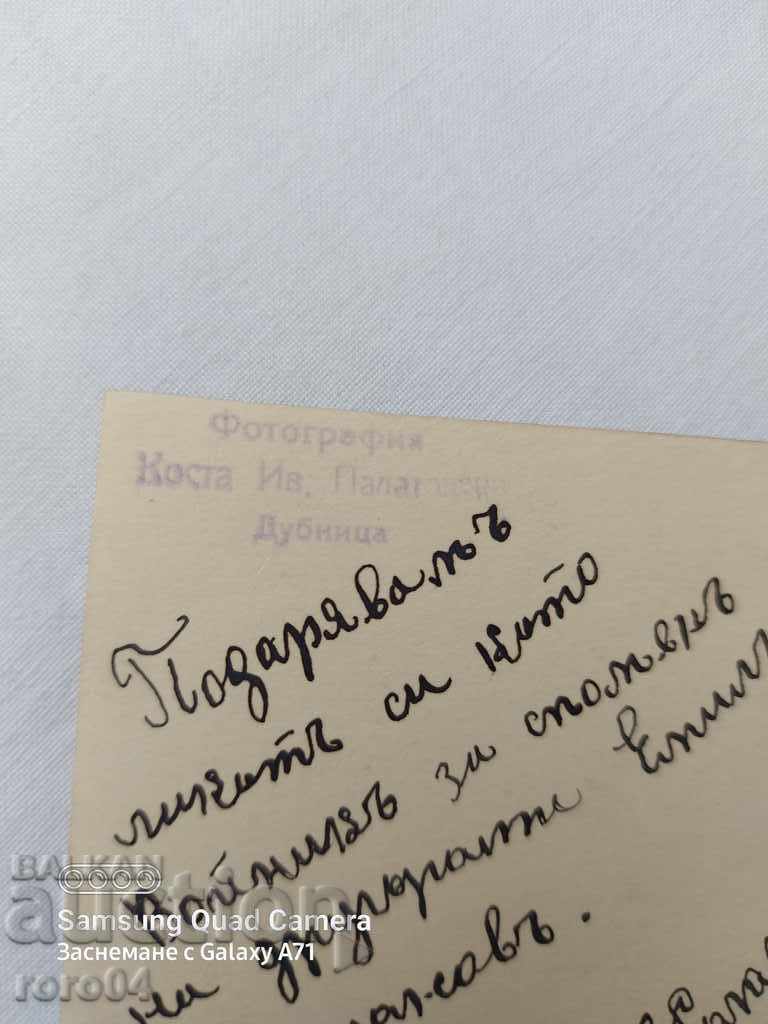 DUPNITSA - 7 DUPNITSA - 7