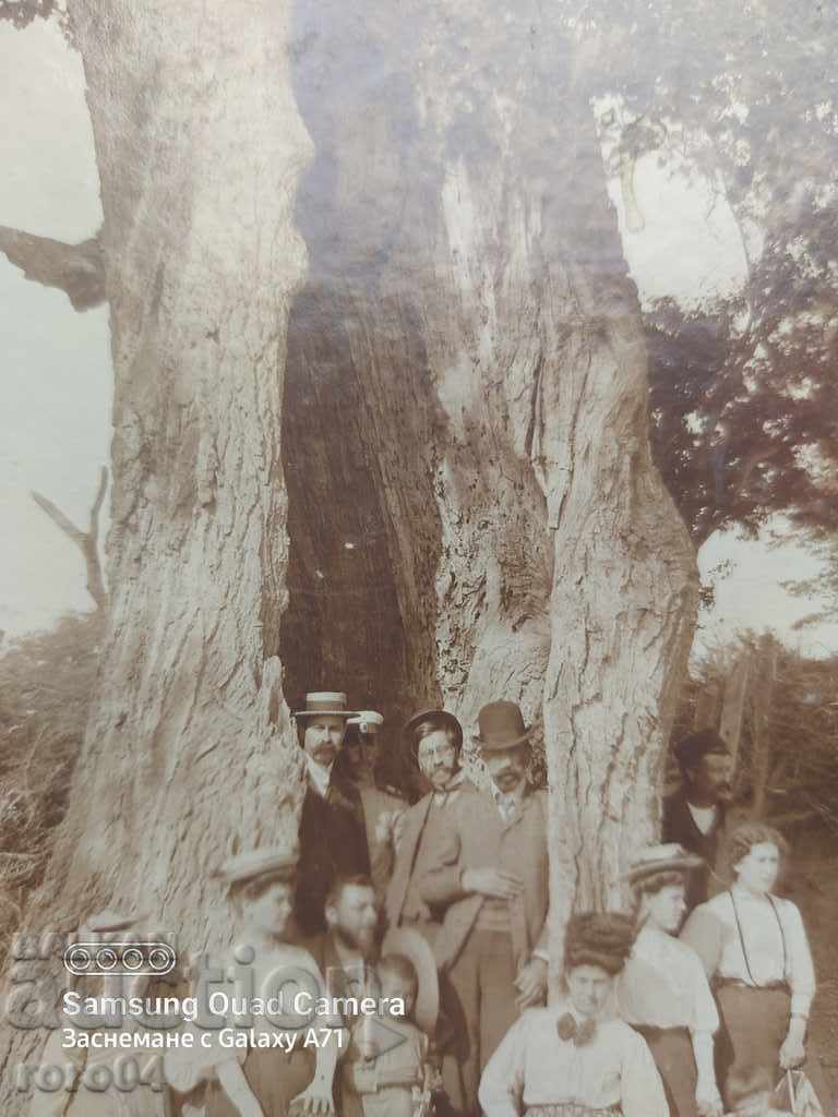 Δημοπρασία SLIVEN - 1911