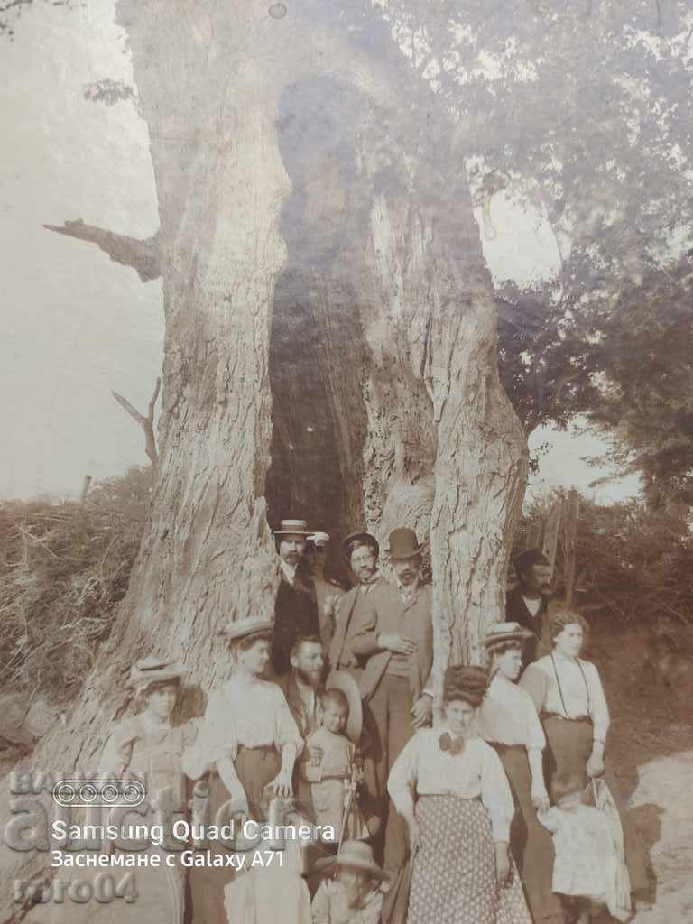 SLIVEN - 1911 - 5 SLIVEN - 1911 - 5