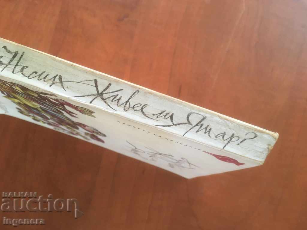 Auction BOOK-AZIZ NESIN-DOES YASHAR LIVE? -1979 Auction BOOK-AZIZ NESIN-DOES YASHAR LIVE? -1979