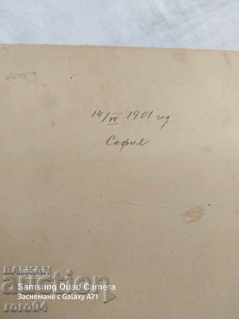 OLD SOFIA - CARDBOARD - 1901 - 7 OLD SOFIA - CARDBOARD - 1901 - 7