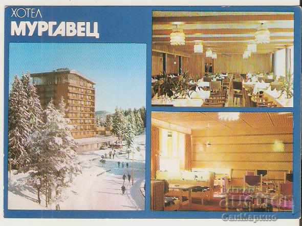Κάρτα Bulgaria Pamporovo Ξενοδοχείο "Murgavets" 2 **