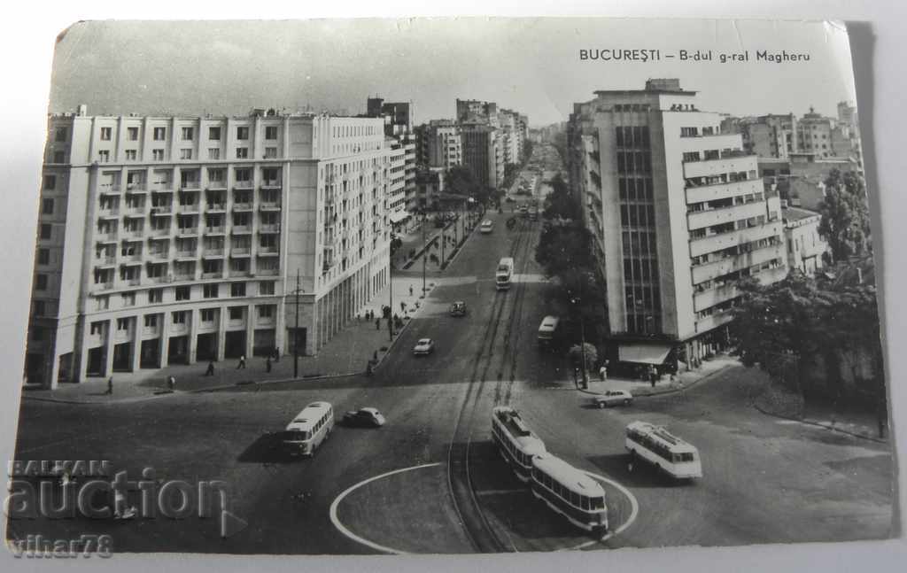 Auction CARD Auction CARD