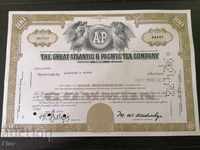 Сертификат за акции | The Great Atlantic & Pacific | 1973г.