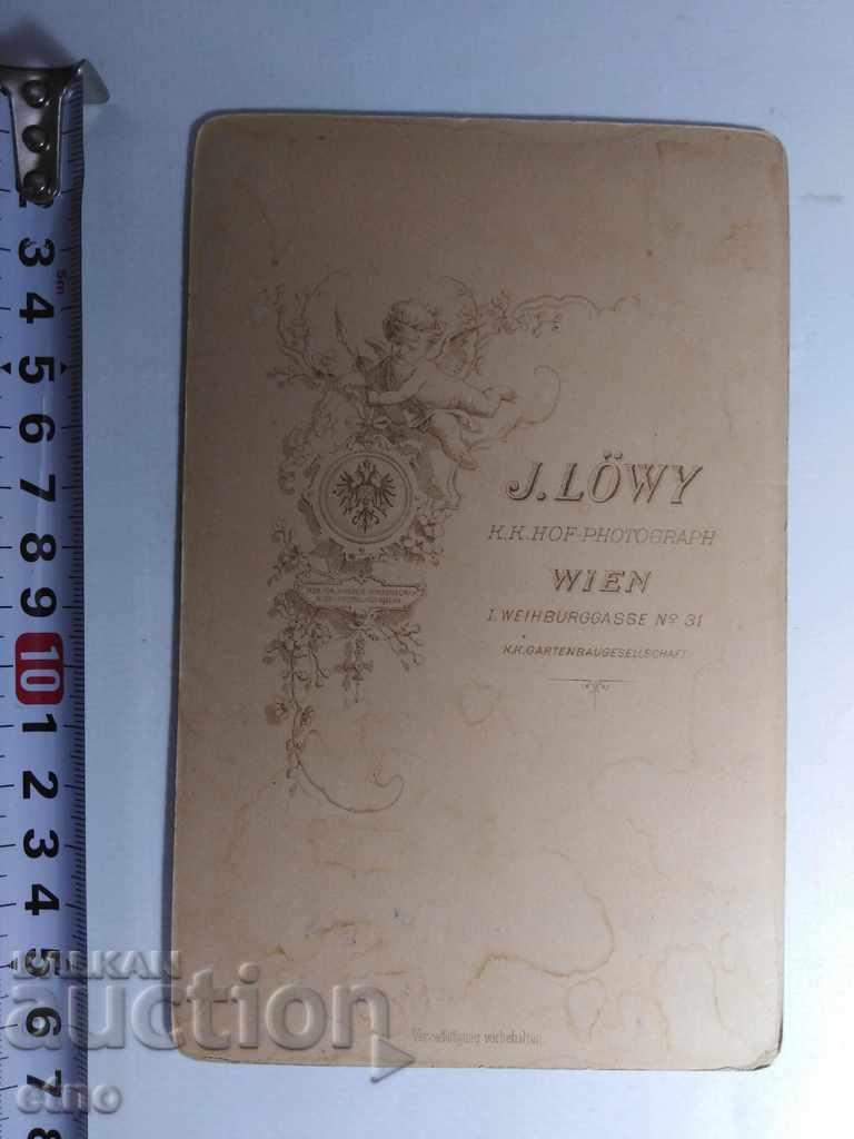 Delivery of ROYAL PHOTO CARDBOARD-CITY LADY 1886 Delivery of ROYAL PHOTO CARDBOARD-CITY LADY 1886