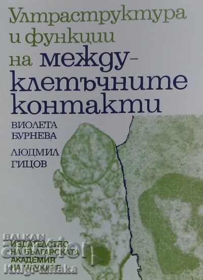 Υπερδομή και λειτουργίες των μεσοκυττάριων επαφών