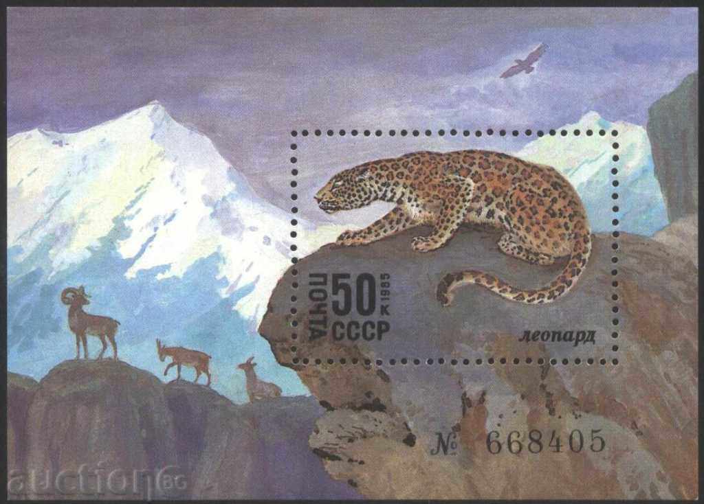 Καθαρίστε μπλοκ Πανίδα Leopard 1985 από την ΕΣΣΔ