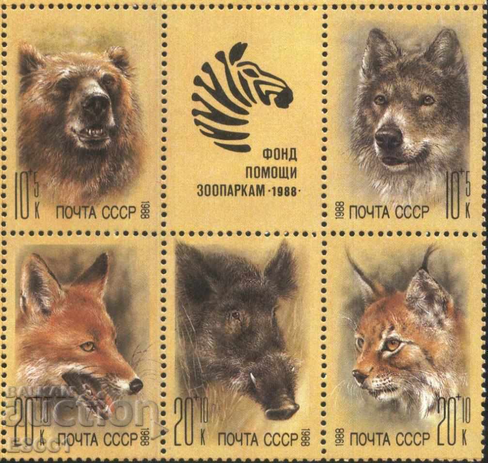 Pure Marks Fauna Zoo Animale sălbatice 1988 de la URSS