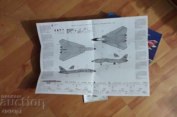 Delivery of Model of an American F-14 fighter aircraft Delivery of Model of an American F-14 fighter aircraft