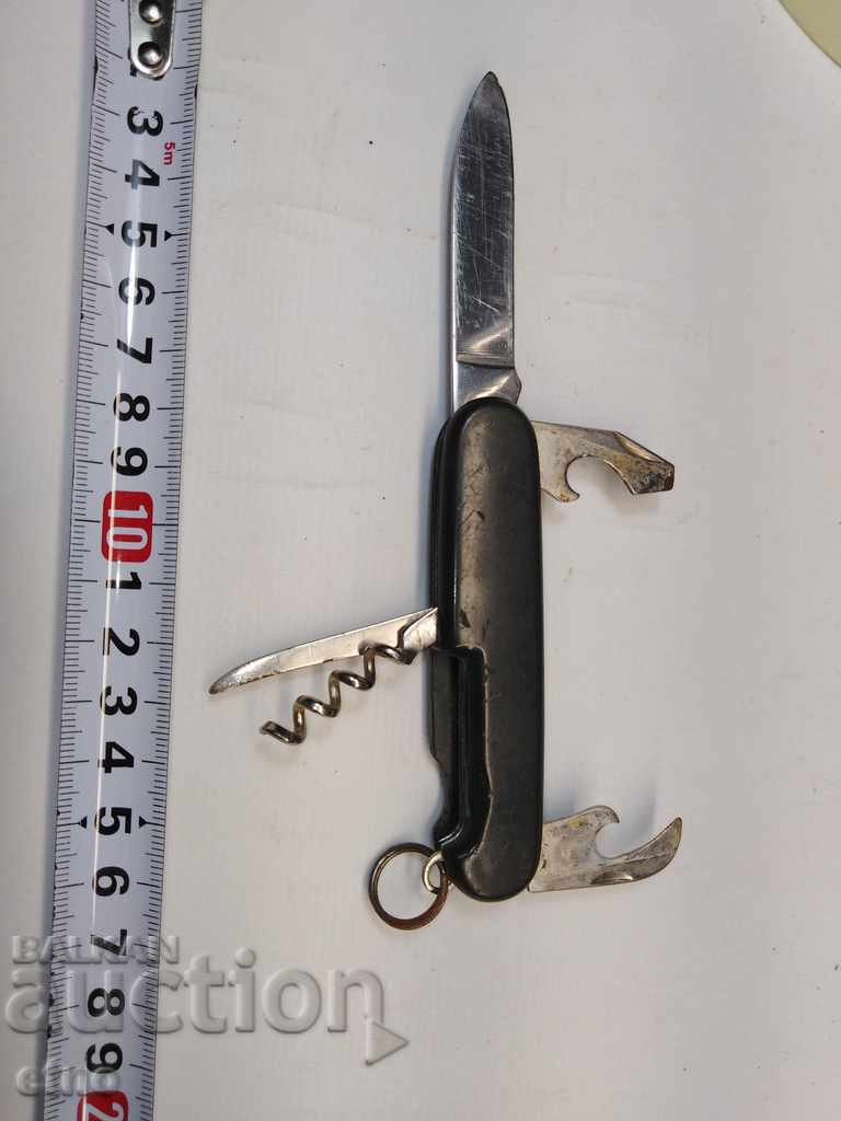 Auction STAR JOB BUCK Auction STAR JOB BUCK