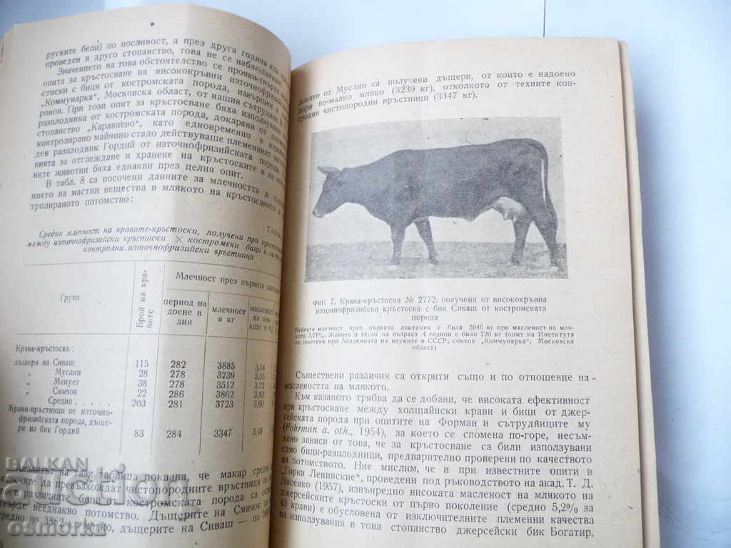 Delivery of Crossbreeding in animal husbandry Problems of heterosis Delivery of Crossbreeding in animal husbandry Problems of heterosis