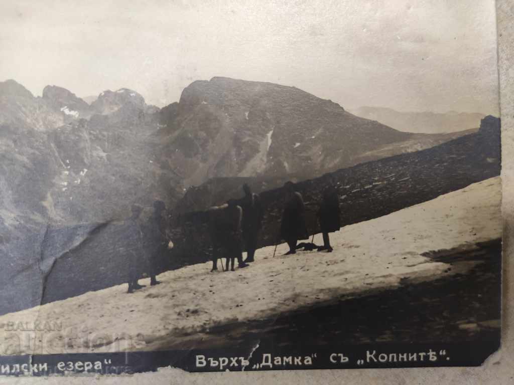 Auction  An old card was traveling