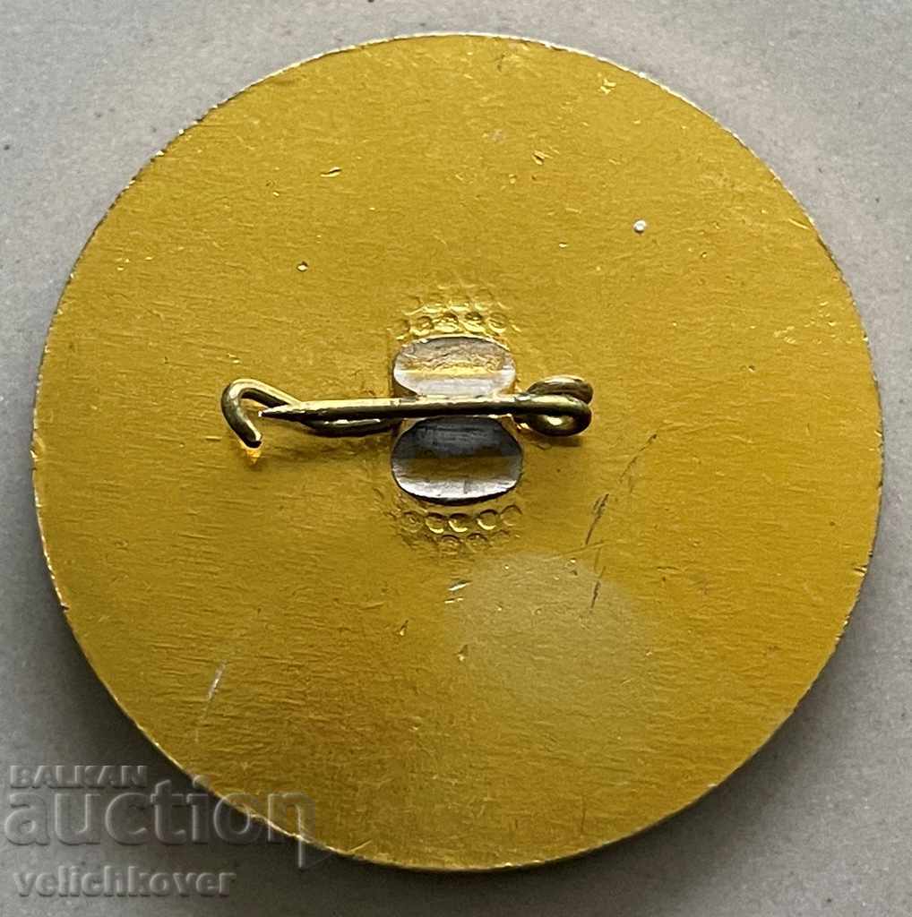 31235 Bulgaria sign Holiday of the Etropole sons-in-law Etropole with price 5.00 BGN | € 2.56