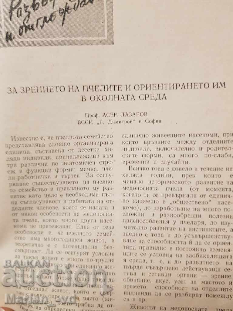 Beekeeping Magazines 1958 - 5 Beekeeping Magazines 1958 - 5