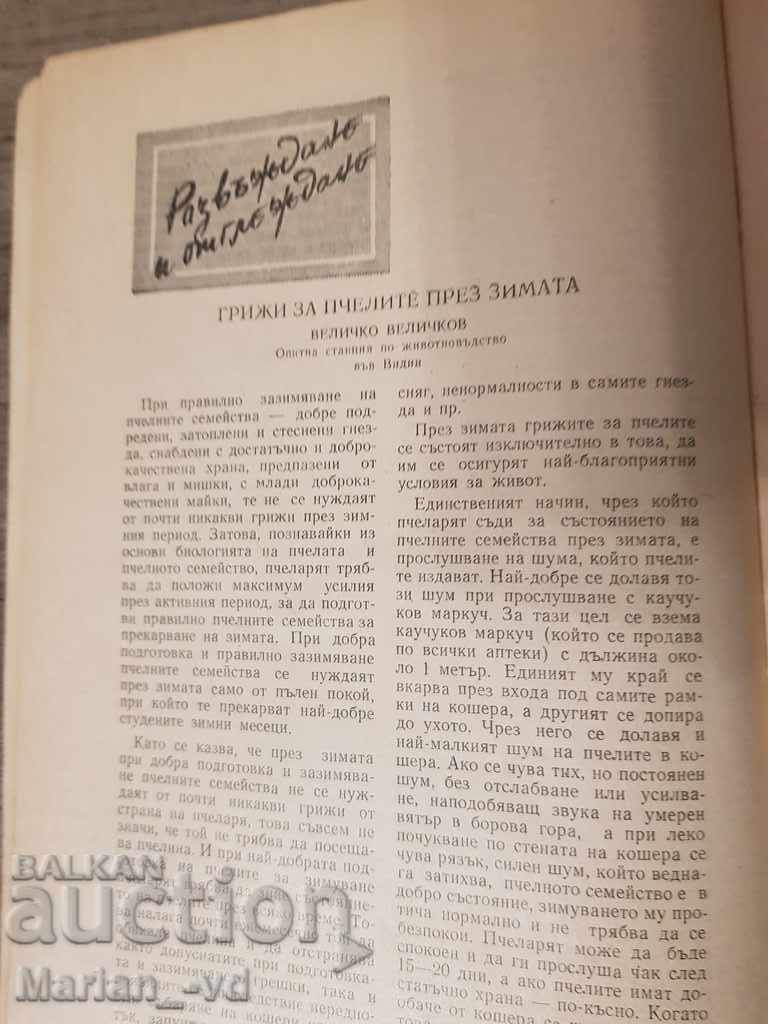 Beekeeping Magazines 1958 - 6 Beekeeping Magazines 1958 - 6