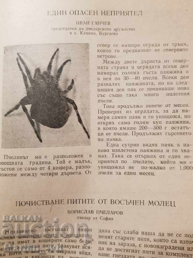 Beekeeping Magazine 1959 - 6 Beekeeping Magazine 1959 - 6