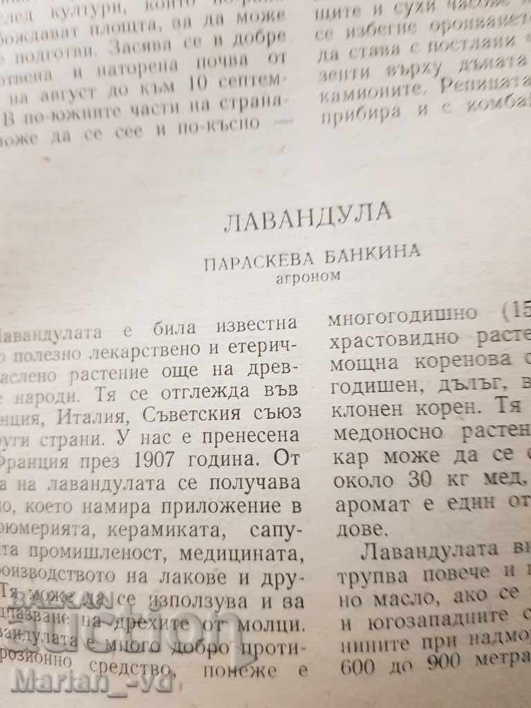 Списание "Пчеларство"от 1957г и 1960г - 6 Списание "Пчеларство"от 1957г и 1960г - 6