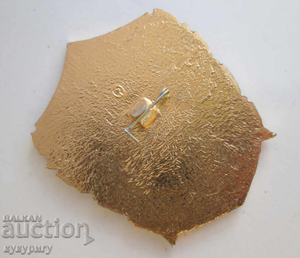 Auction Old Russian USSR Social Badge Air Force Badge Military Aviation Auction Old Russian USSR Social Badge Air Force Badge Military Aviation