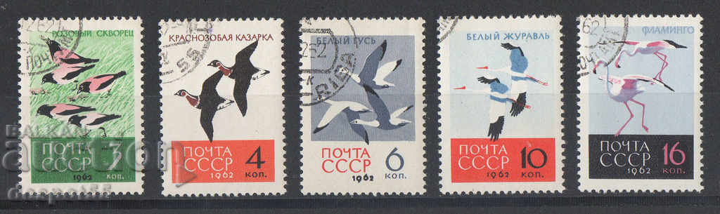 1962. USSR. Birds.