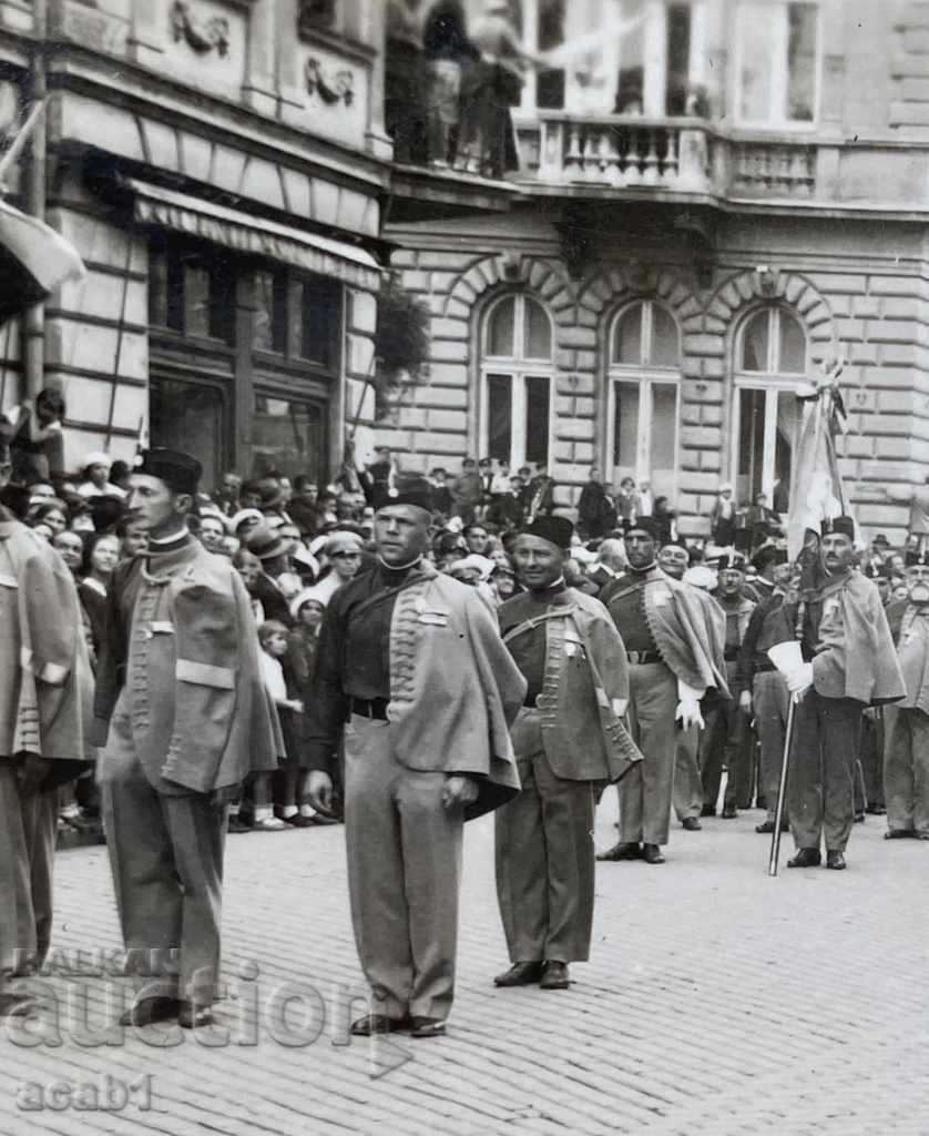 Licitație Șoimii iugoslavi (sârbi). Licitație Șoimii iugoslavi (sârbi).