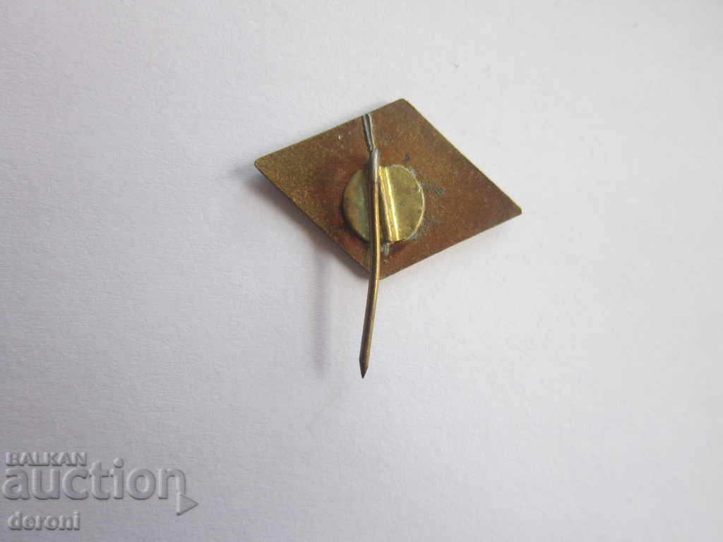 Auction Rare sign badge Driver 100,000 km bronze enamel Auction Rare sign badge Driver 100,000 km bronze enamel