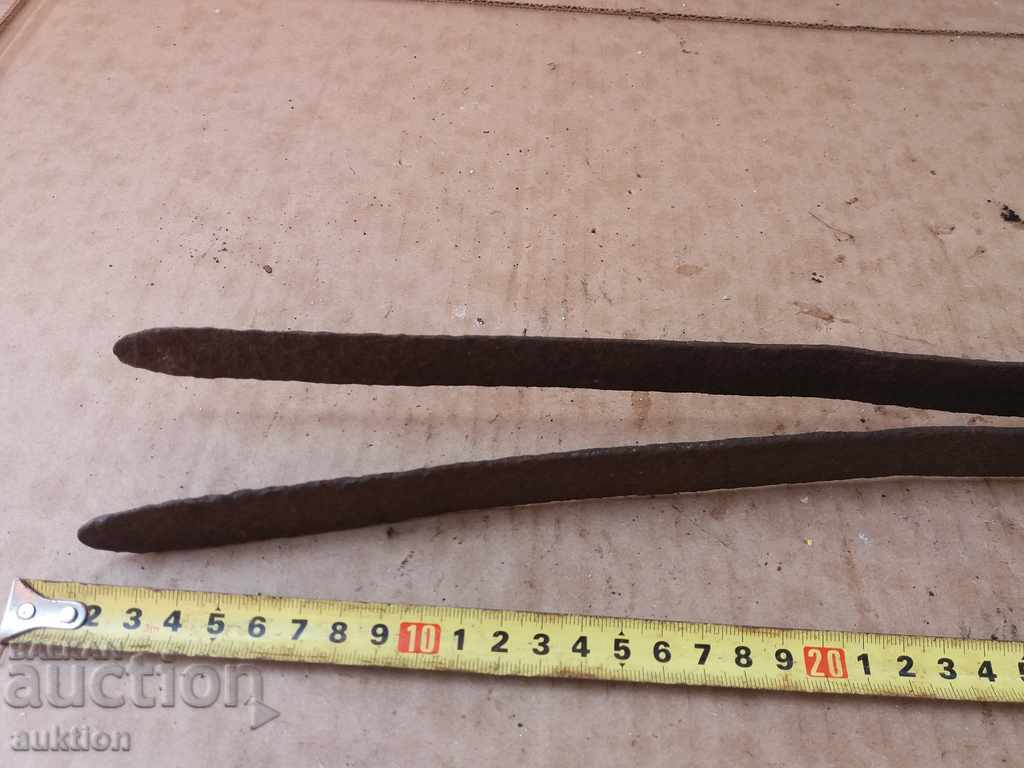 Auction STAR KOVAN DILAF, MASHA Auction STAR KOVAN DILAF, MASHA