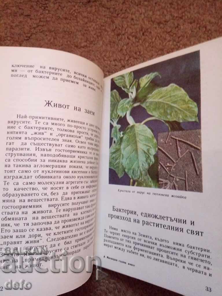 Auction  Billions of years of life - Edith Thomas, Herman Thomas