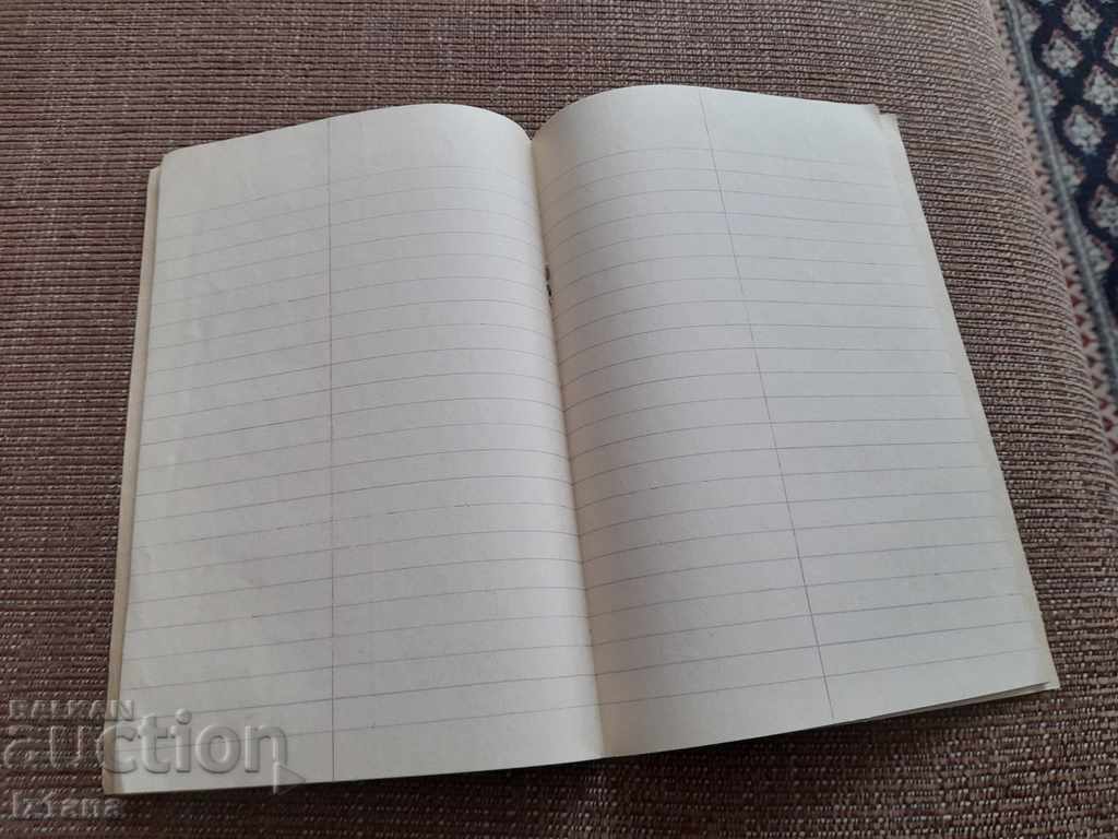 Auction  Old Notebook Dictionary