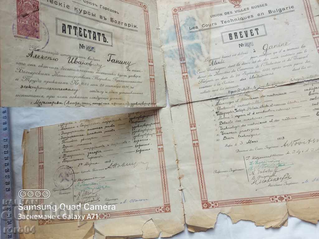 ΠΙΣΤΟΠΟΙΗΤΙΚΟ - BREVET - 6 ΠΙΣΤΟΠΟΙΗΤΙΚΟ - BREVET - 6