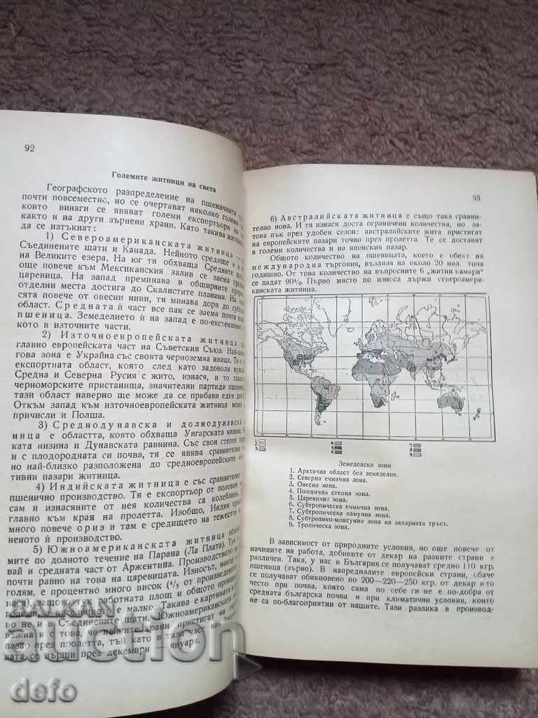 Auction  General economic geography - Prof. AS Beshkov