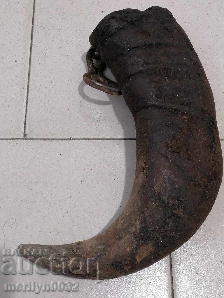 Bismarck hazelnut tarnata with price 64.00 BGN | € 32.72 Bismarck hazelnut tarnata with price 64.00 BGN | € 32.72