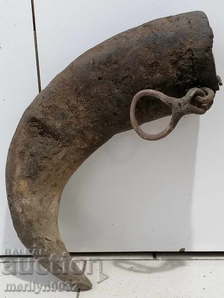 Auction Bismarck hazelnut tarnata Auction Bismarck hazelnut tarnata