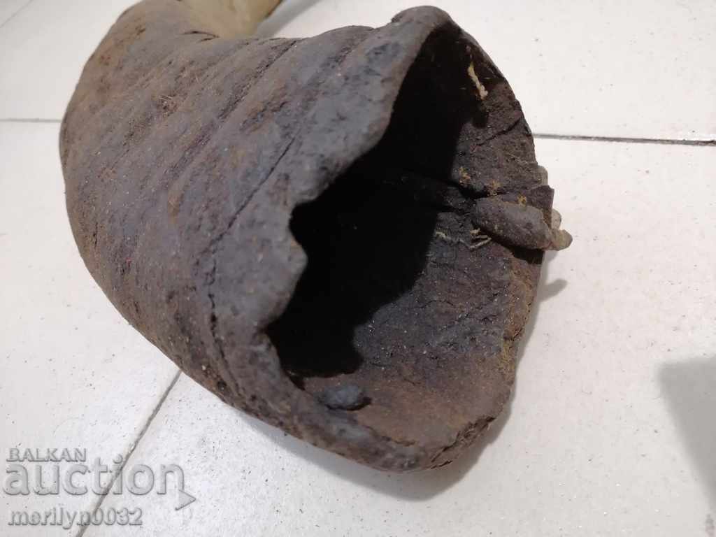 Delivery of Bismarck hazelnut tarnata Delivery of Bismarck hazelnut tarnata