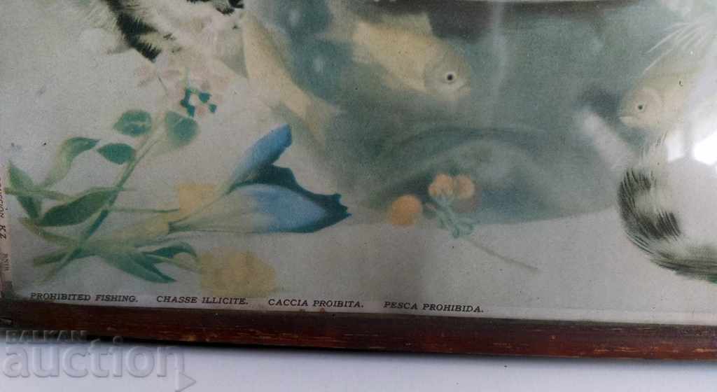 Auction OLD PICTURE REPRODUCTION FRAME CATS CAT KINGDOM OF BULGARIA Auction OLD PICTURE REPRODUCTION FRAME CATS CAT KINGDOM OF BULGARIA