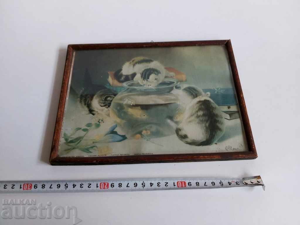 Delivery of OLD PICTURE REPRODUCTION FRAME CATS CAT KINGDOM OF BULGARIA Delivery of OLD PICTURE REPRODUCTION FRAME CATS CAT KINGDOM OF BULGARIA