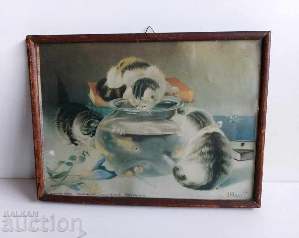 OLD PICTURE REPRODUCTION FRAME CATS CAT KINGDOM OF BULGARIA