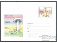 2011 P 08 - Τοξικά μανιτάρια