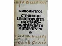 Σελίδες στην ιστορία της παλιάς βουλγαρικής λογοτεχνίας