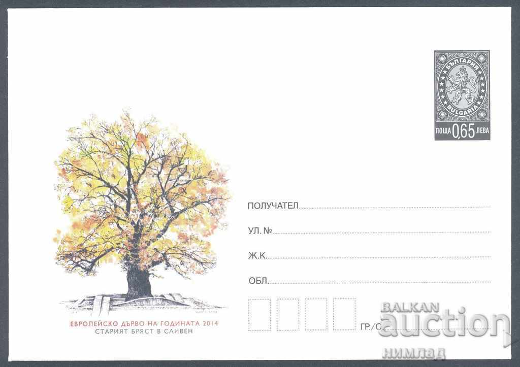 2014 P 05 - Ecology - The old elm in Sliven 2014 P 05 - Ecology - The old elm in Sliven