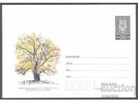 2014 P 05 - Ecology - The old elm in Sliven