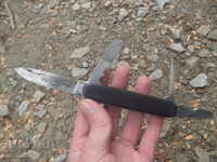 CUIT DE BUZUUNAR DE COLECȚIE