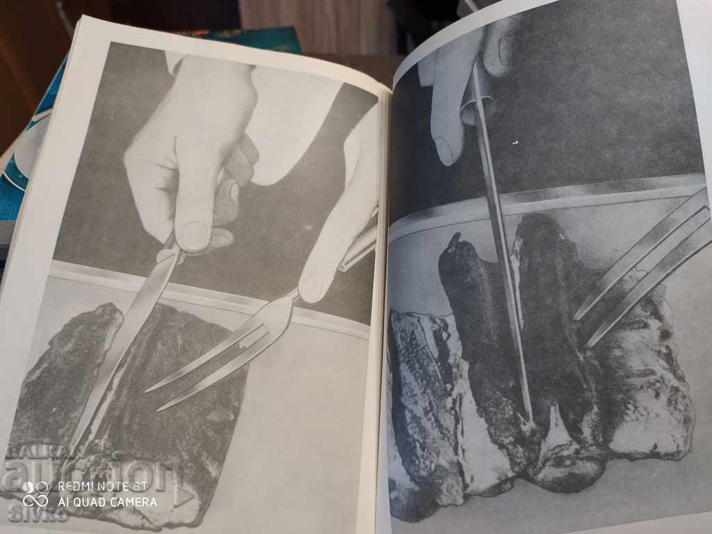 Serving guide, lots of pictures - 7 Serving guide, lots of pictures - 7